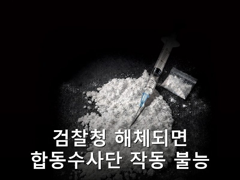 검찰청 폐지로 마약·보이스피싱 합동수사 기구 5곳 공중분해 위기