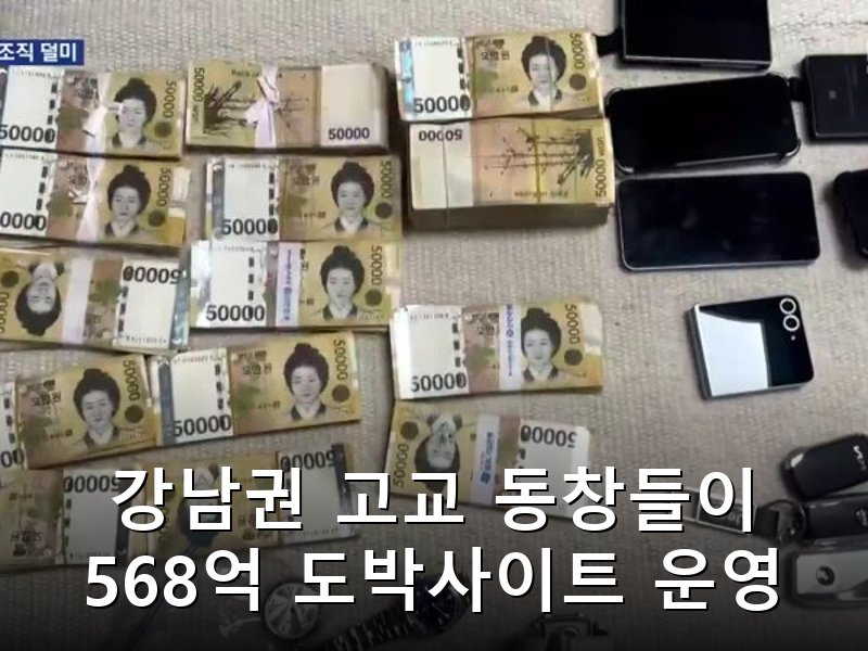 고교 동창끼리 568억 도박사이트 운영, 강남권 엘리트 출신 조직 적발