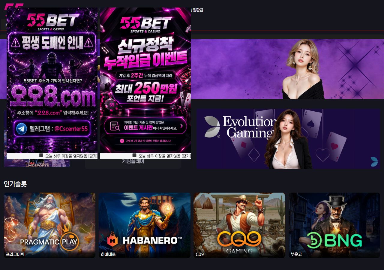 55 토토사이트 메인 화면